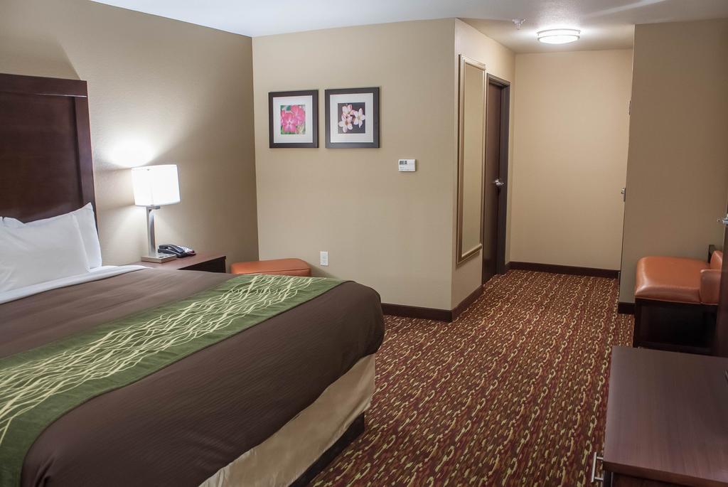 Comfort Inn & Suites Artesia Cameră foto