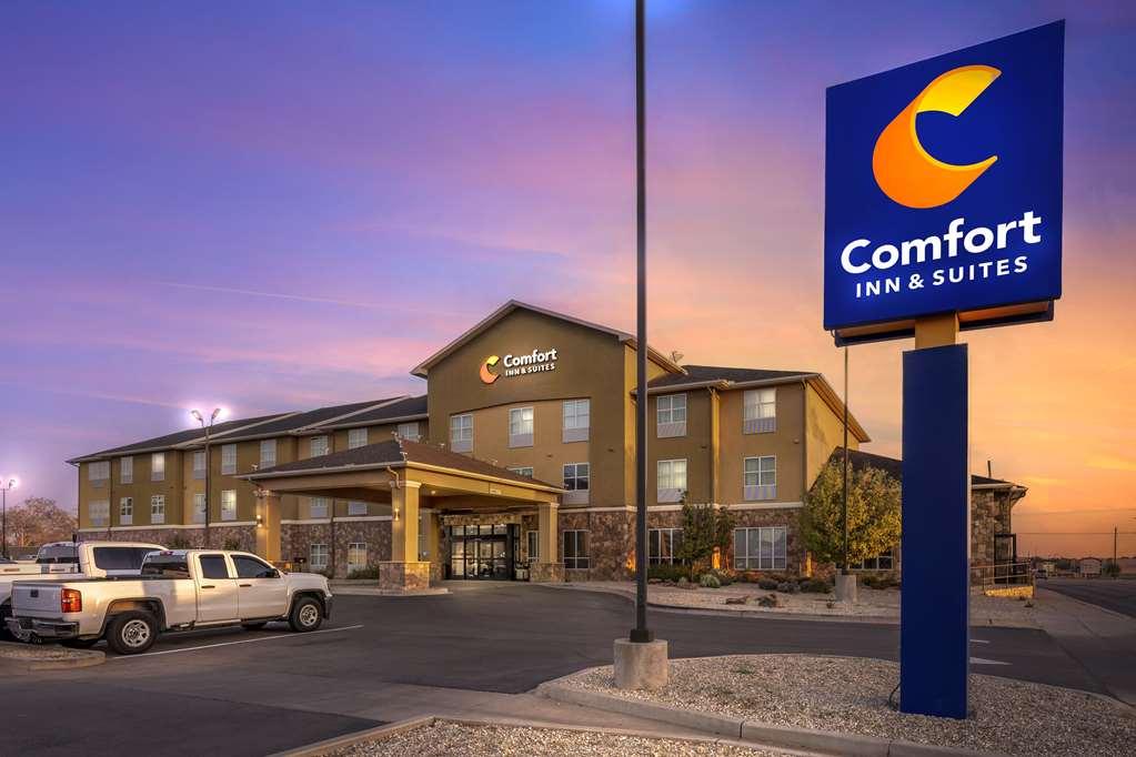 Comfort Inn & Suites Artesia Exterior foto