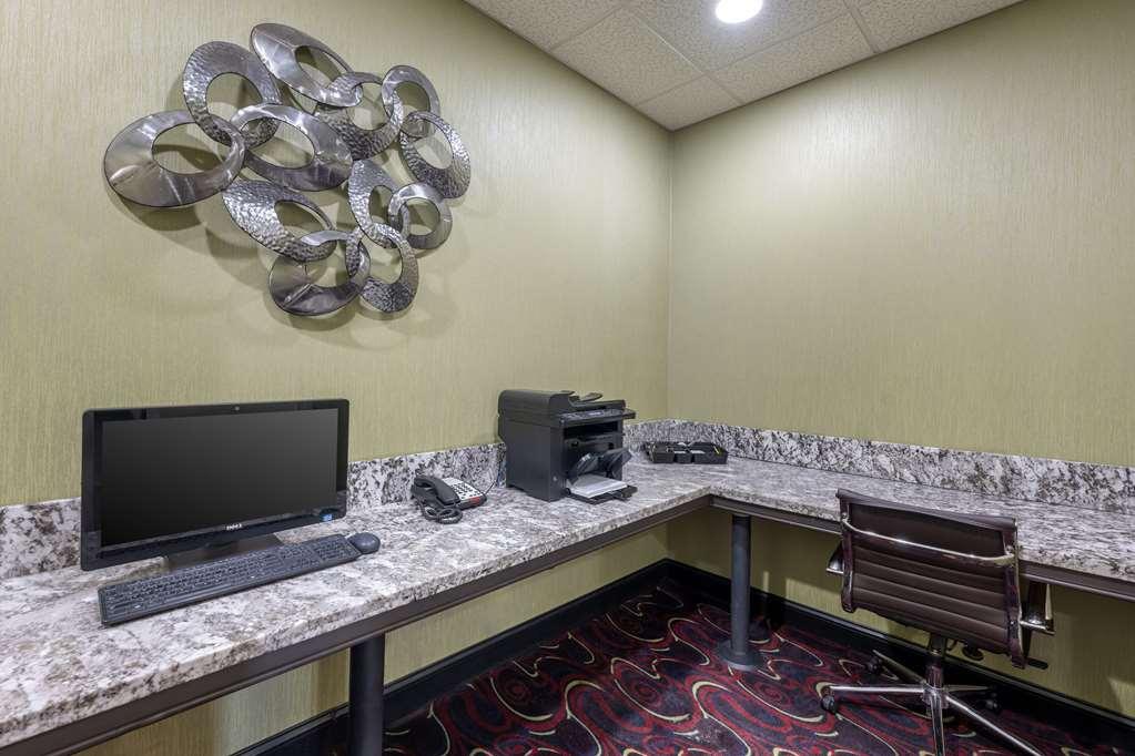Comfort Inn & Suites Artesia Facilități foto